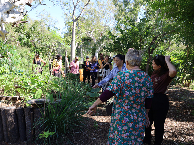 Image of a group of people standing in the shade looking at a vegetable patch which has fresh vegetables growing in it.