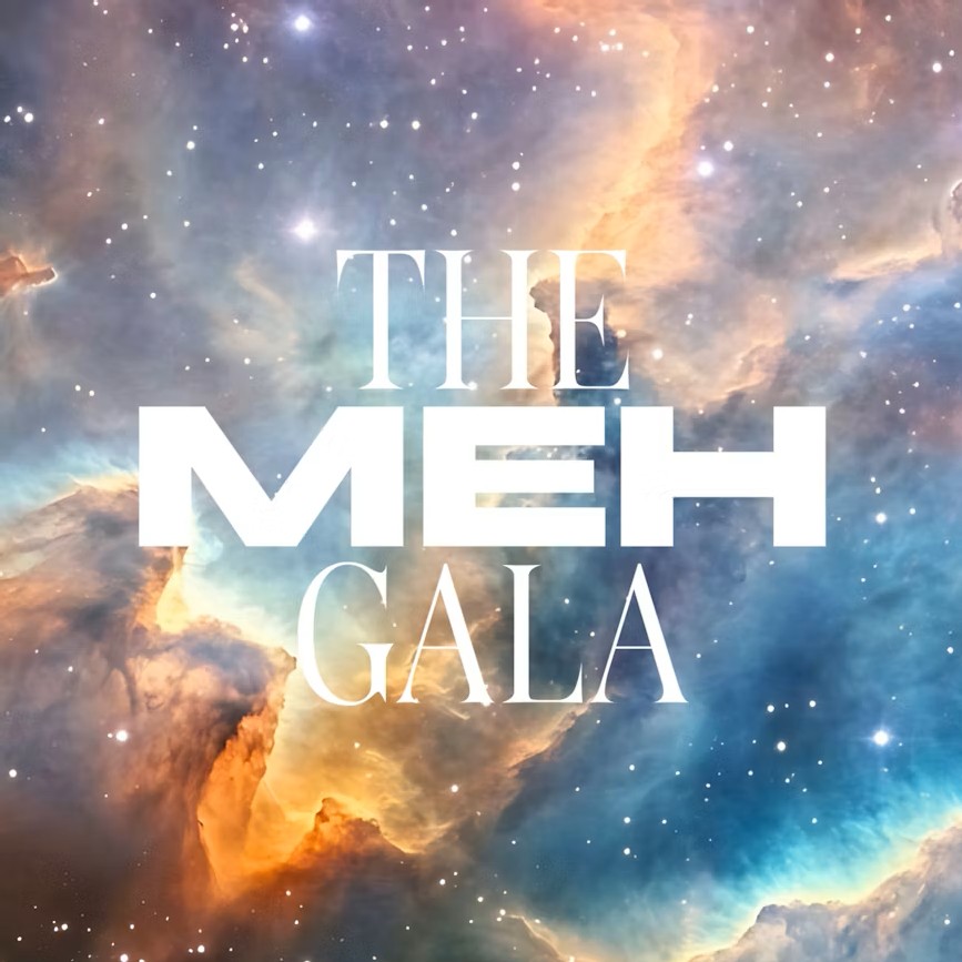 The MEH Gala 2026 banner featuring a backdrop of an ethereal cosmos speckled with constellations of stars.